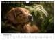 Thumbnail-14