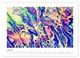 Thumbnail-11
