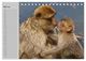 Thumbnail-10