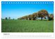 Thumbnail-10
