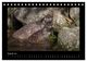 Thumbnail-13