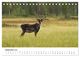 Thumbnail-14
