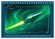 Thumbnail-13