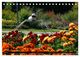 Thumbnail-10