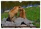 Thumbnail-9