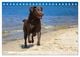 Thumbnail-12