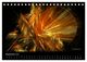 Thumbnail-14