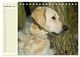 Thumbnail-14