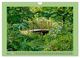 Thumbnail-8