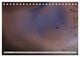 Thumbnail-10