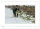 Thumbnail-10