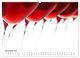Thumbnail-12