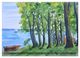 Thumbnail-11