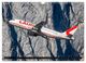 Thumbnail-9
