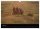 Thumbnail-14