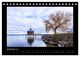 Thumbnail-14