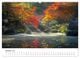 Thumbnail-11