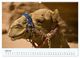 Thumbnail-9