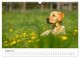 Thumbnail-13
