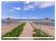 Thumbnail-14