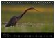 Thumbnail-8