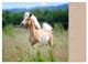Thumbnail-9