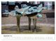 Thumbnail-11