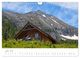 Thumbnail-11