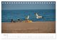 Thumbnail-10