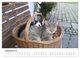 Thumbnail-14