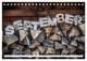 Thumbnail-14