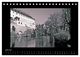 Thumbnail-11