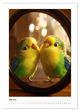 Thumbnail-7