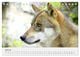 Thumbnail-12