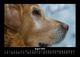 Thumbnail-12