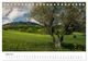 Thumbnail-9