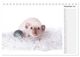 Thumbnail-14