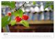 Thumbnail-9