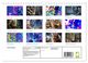 Thumbnail-9