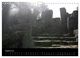 Thumbnail-10