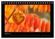 Thumbnail-12