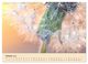 Thumbnail-12