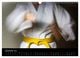 Thumbnail-14
