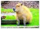 Thumbnail-12