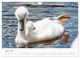 Thumbnail-11