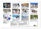 Thumbnail-11