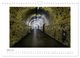 Thumbnail-8