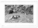 Thumbnail-10