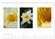 Thumbnail-11
