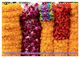 Thumbnail-10